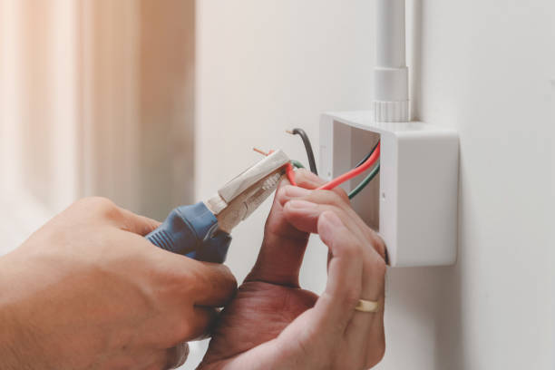 Best Electrical Panel Upgrades  in Olton, TX